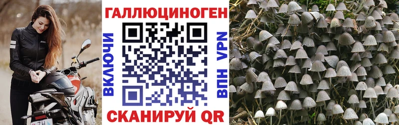 Галлюциногенные грибы Psilocybe  Сызрань 