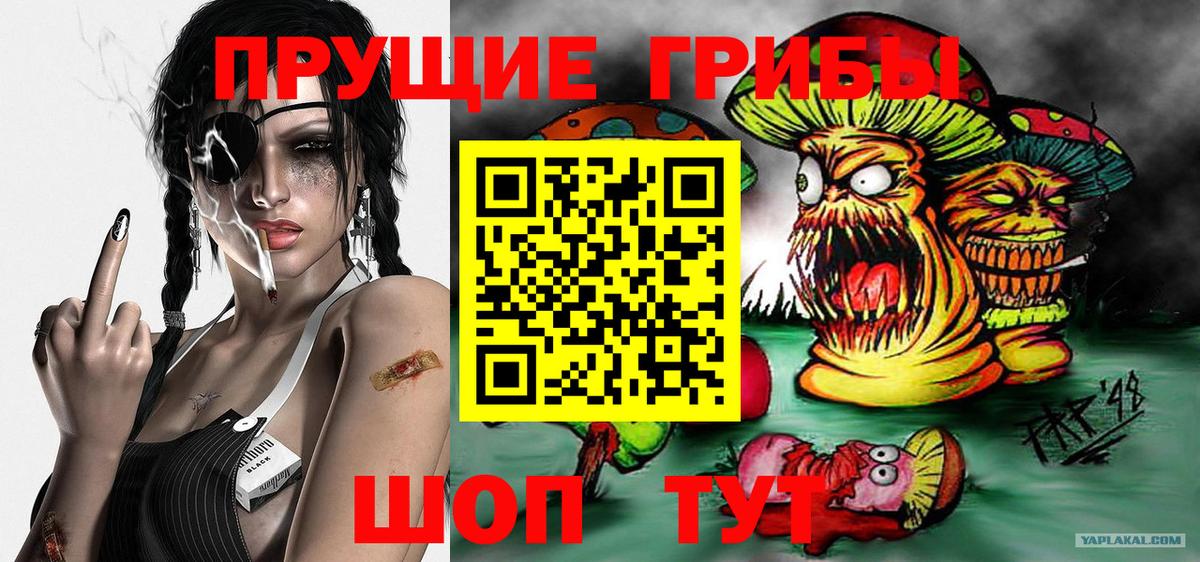 Псилоцибиновые грибы GOLDEN TEACHER Сызрань