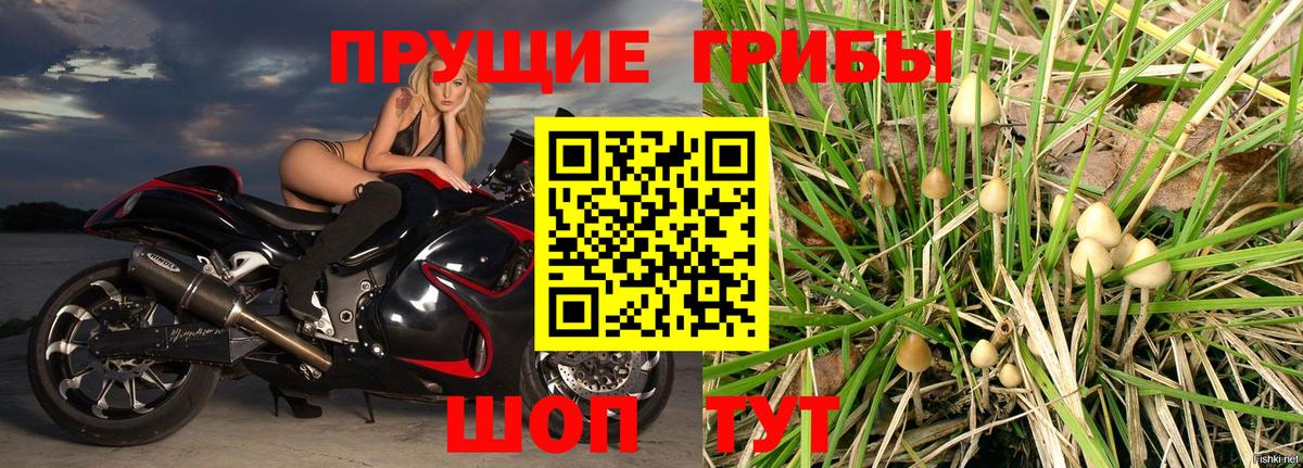 закладка  Вход с VPN  Галлюциногенные грибы Magic Shrooms  Сызрань  Галлюциногенные грибы MAGIC MUSHROOMS 